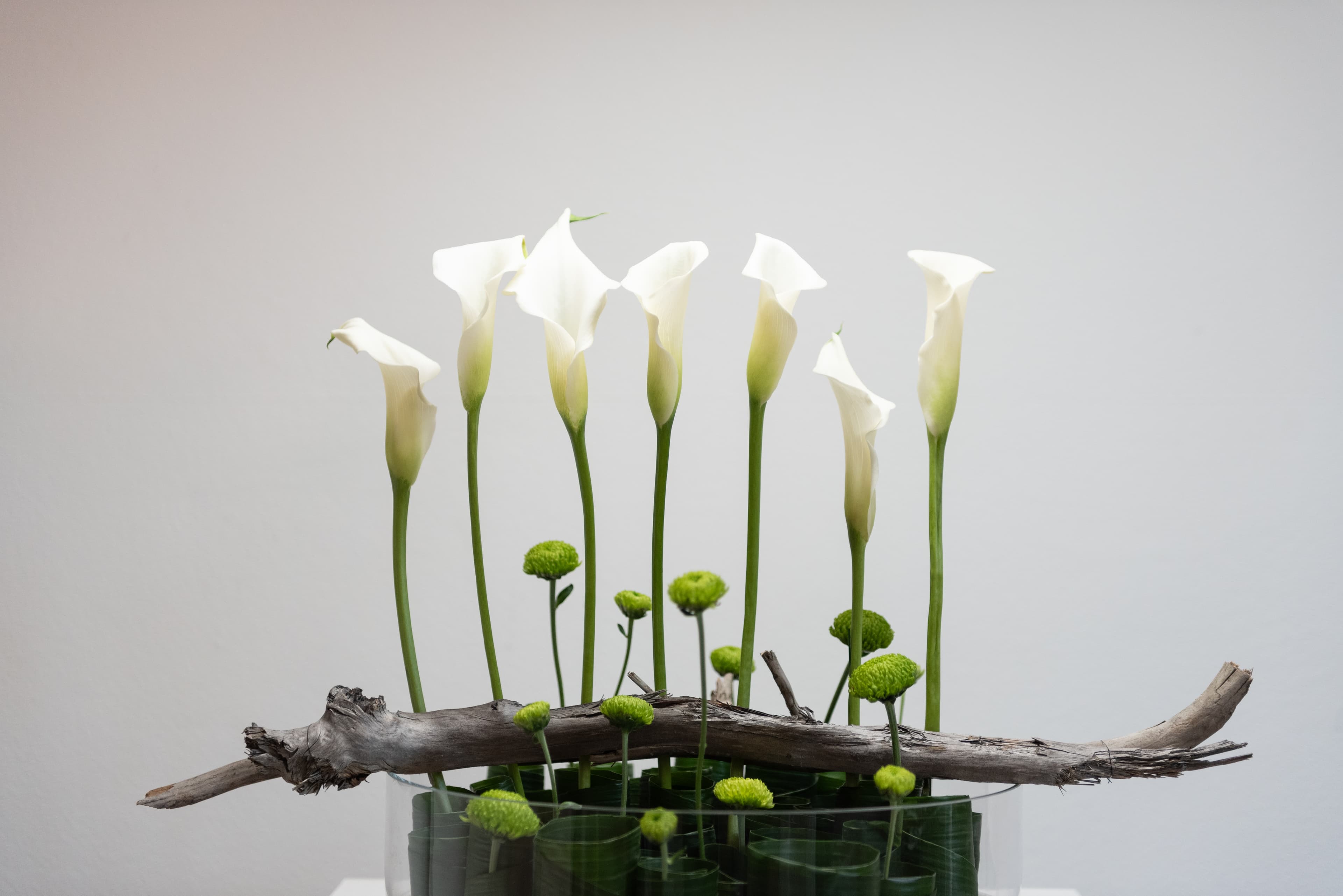 Banner obrazek sluzby